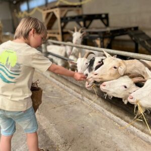 Ontbijtjes voor de geitjes