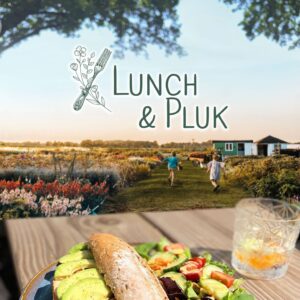 Bloemenveld met lunch