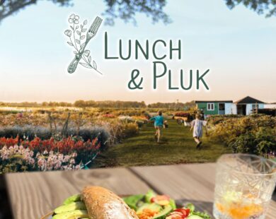 Bloemenveld met lunch